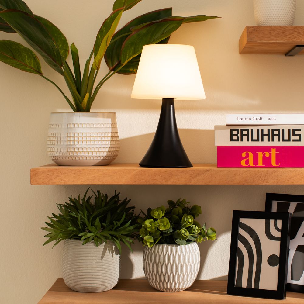 Planta con maceta esferica 12x26 cm