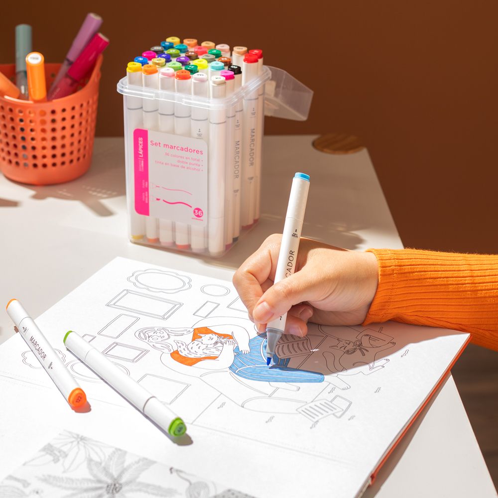 Set 36 marcadores doble punta