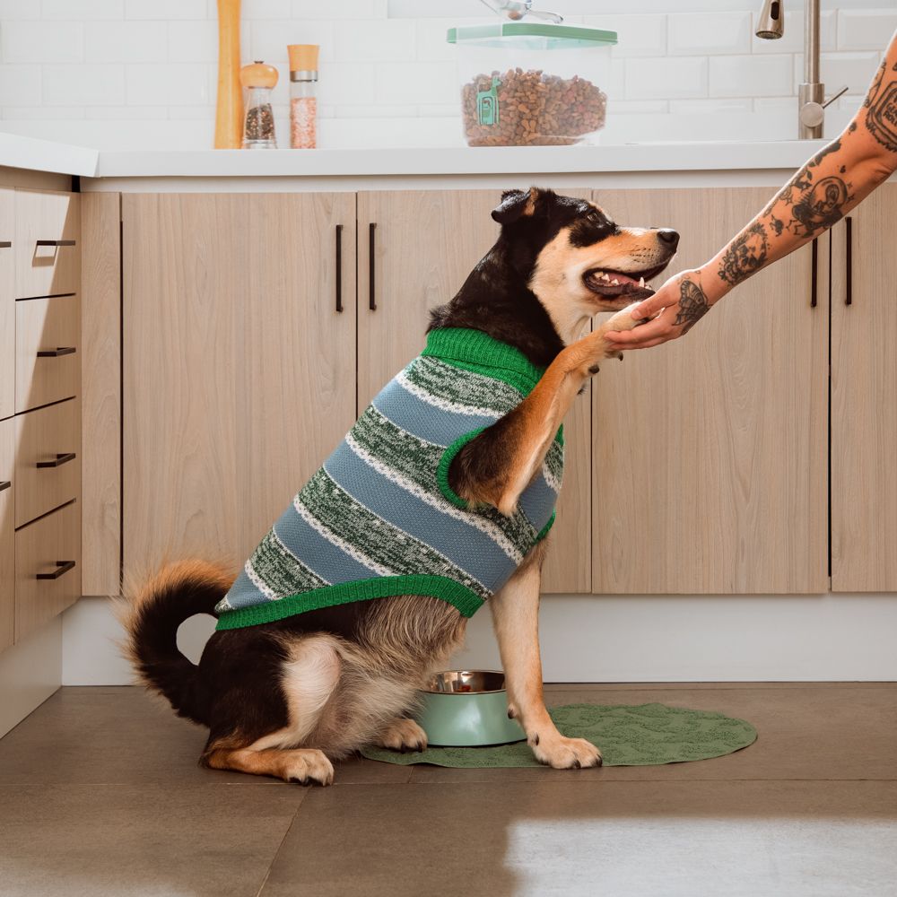 Chaleco tejido para mascota talla grande