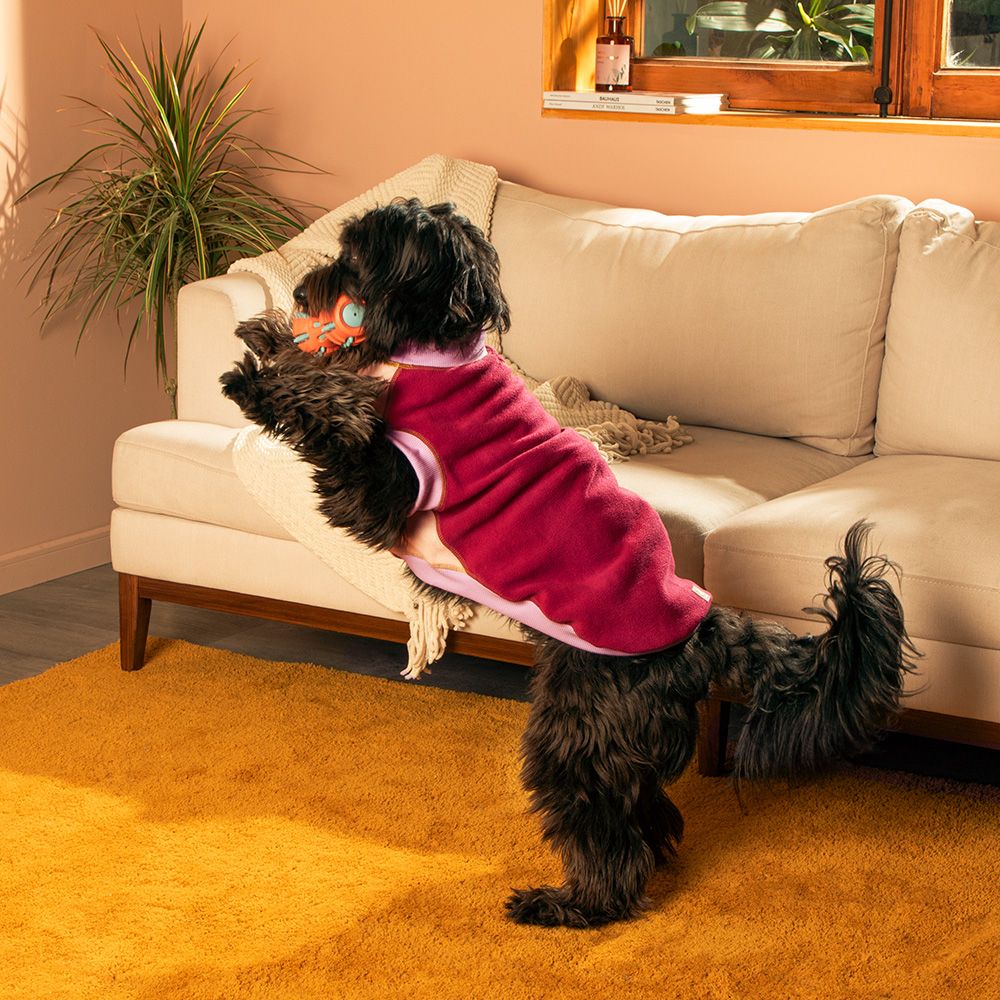 Chaleco polar para mascota talla extra grande