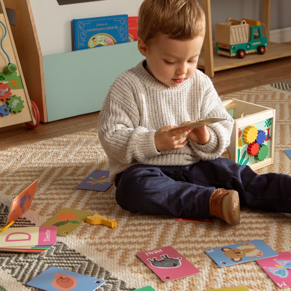 Tarjetas didácticas con animales