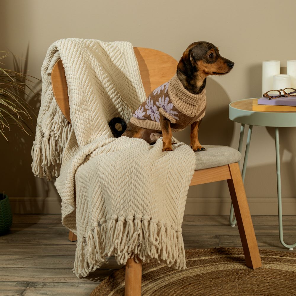 Chaleco tejido para mascota talla chica