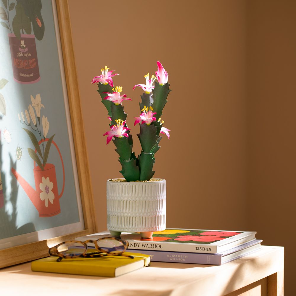 Maceta con cactus y flor 17.5x32 cm