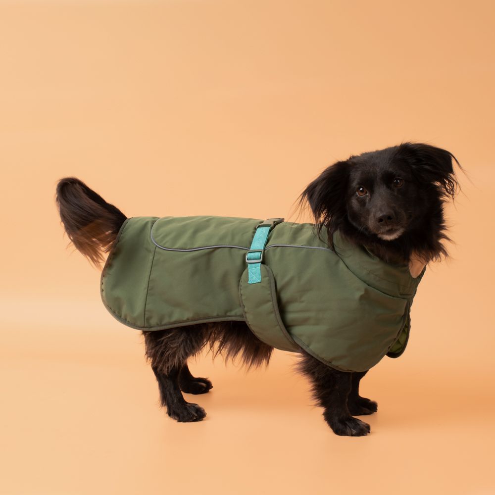 Chaqueta de perro impermeable M