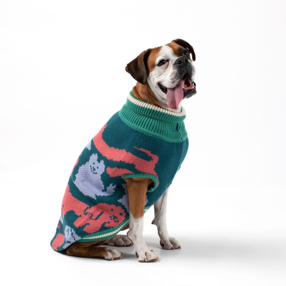 Chaleco tejido para mascota L/G