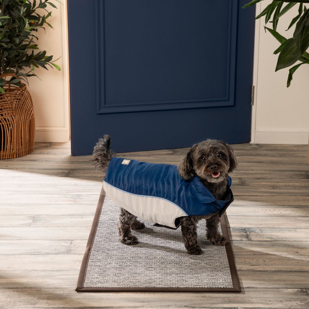 Chaqueta impermeable para mascota talla chica