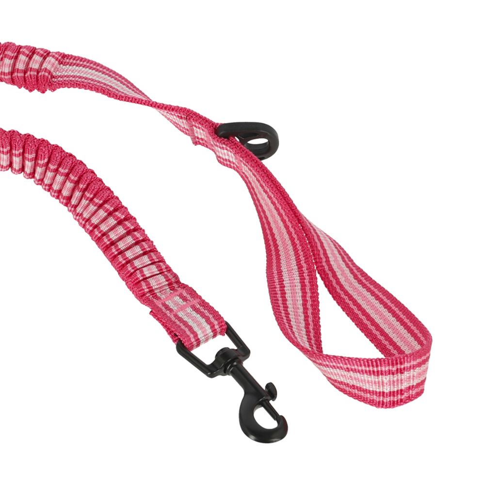 Correa Cinta Antishock para mascota S/M