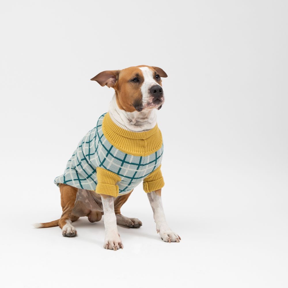 Chaleco tejido para mascota L/G