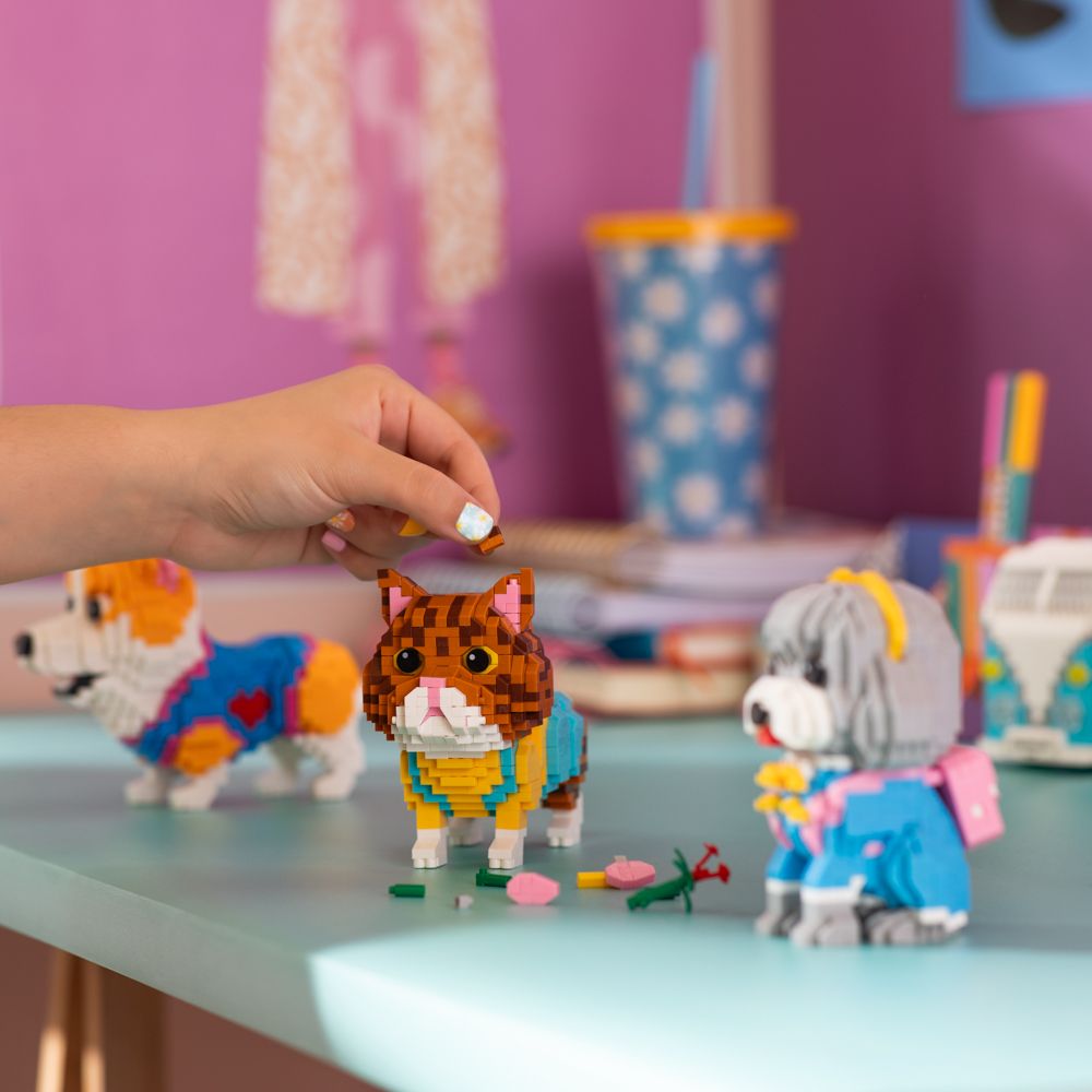 Mini bloques nivel 4 - Gato