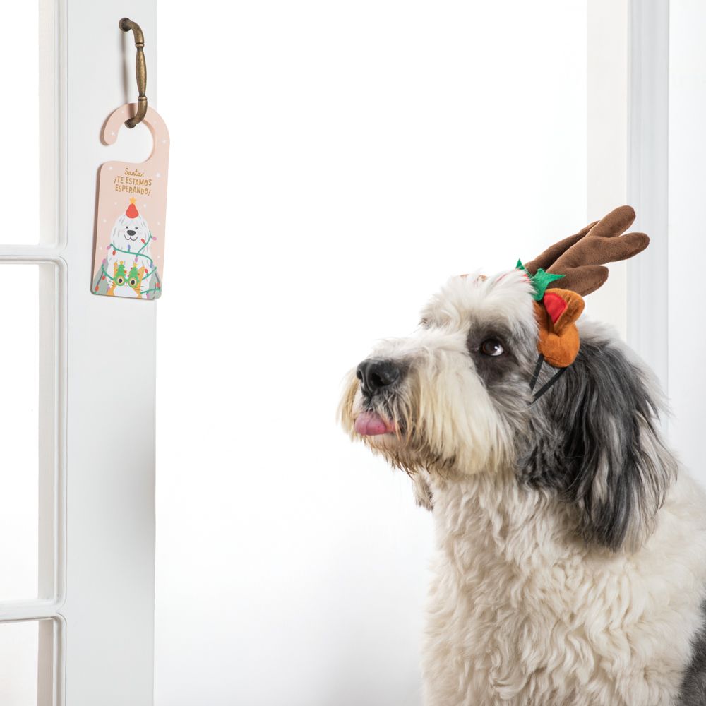 Set de cartas para Santa