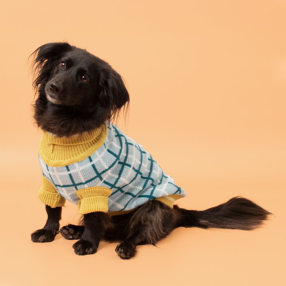 Chaleco tejido para mascota M