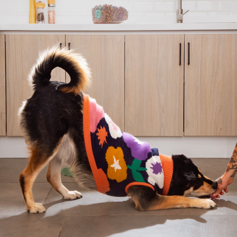 Chaleco tejido para mascota talla grande