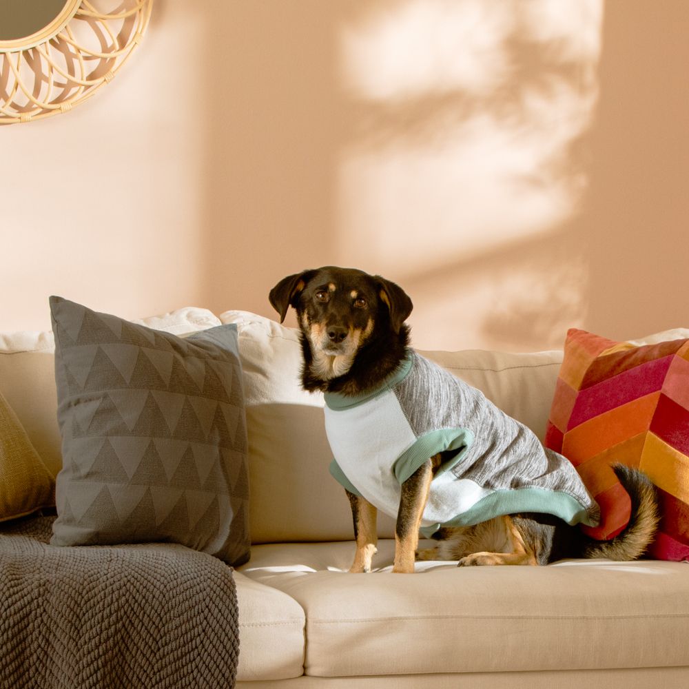 Chaleco polar para mascota talla grande