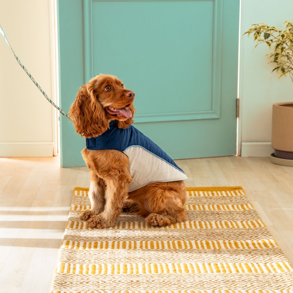 Chaqueta impermeable para mascota talla mediana