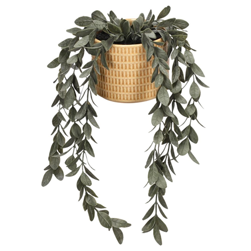 Maceta de cerámica con suculenta colgante