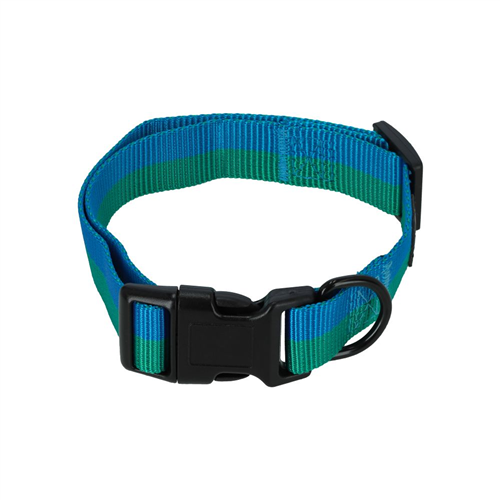 Collar Cinta Ajustable para mascota S