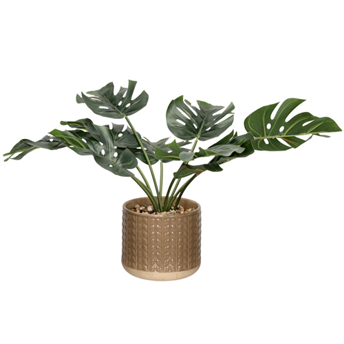 Planta con maceta 18x34 cm