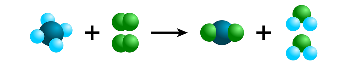 Atoms and molecules held together by chemical bonds.