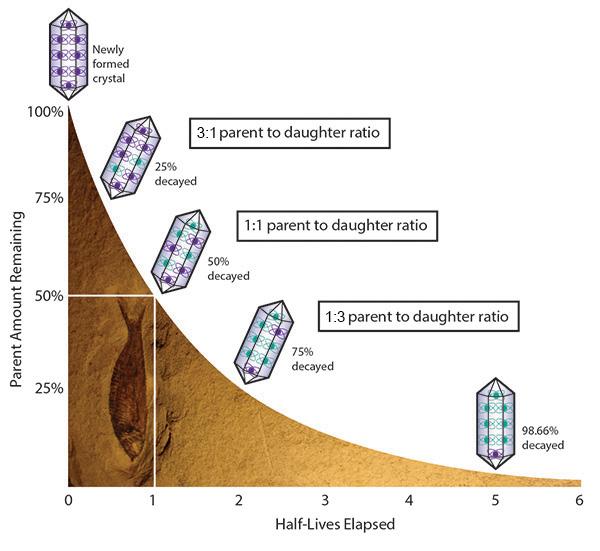 radioactive decay example