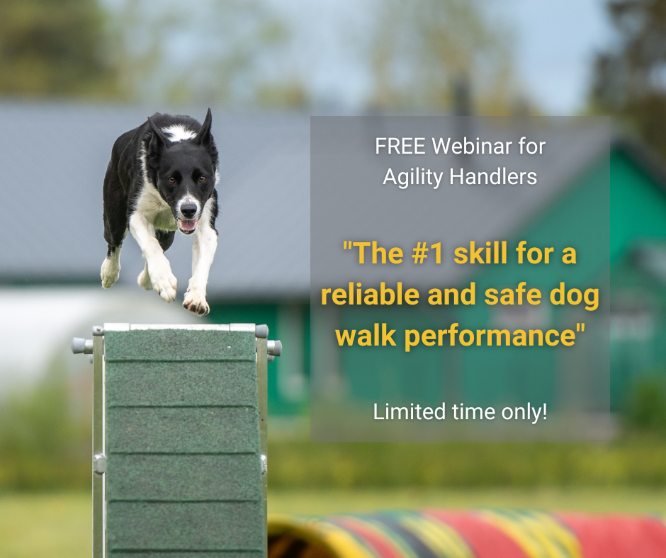 Dog Walk Webinar