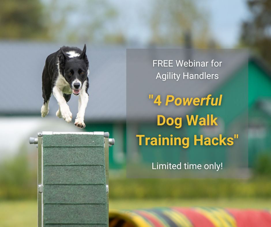 "4 Powerful Dog Walk Training Hacks" Webinar