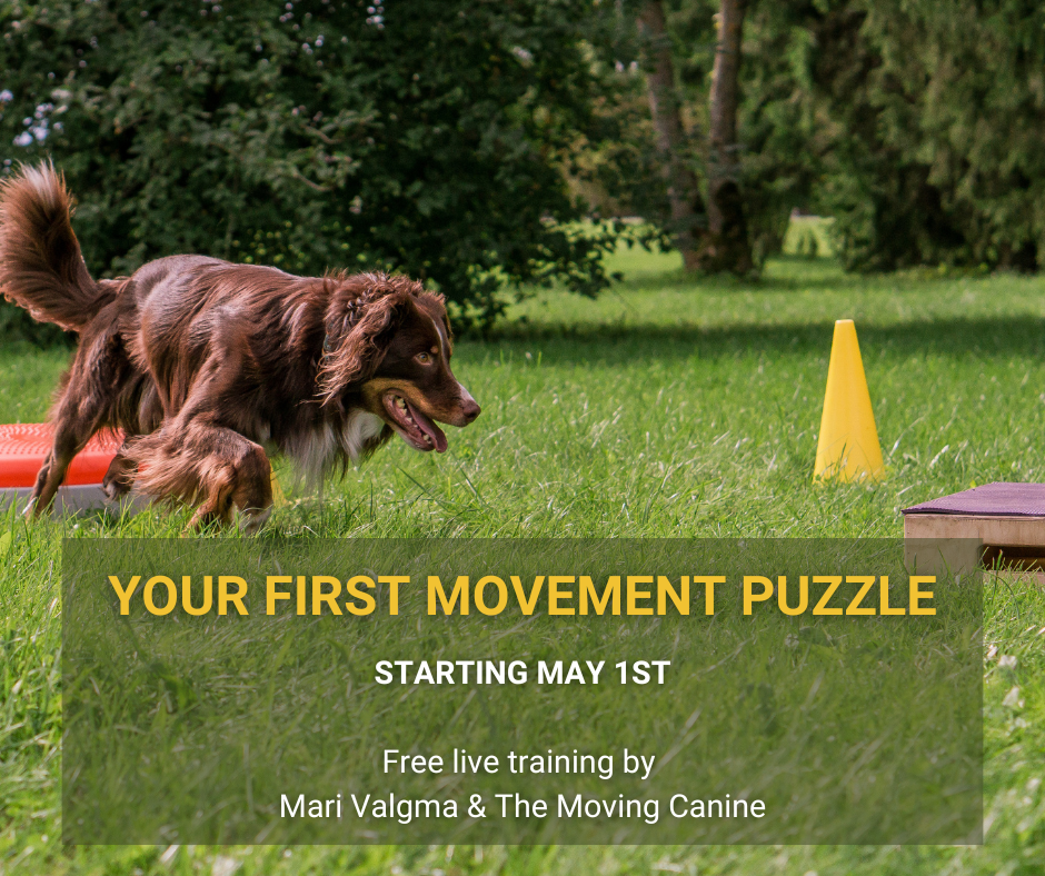 Your First Movement Puzzle