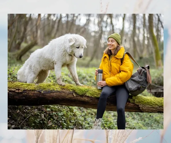 White dog standing on a fallen tree beside a woman in a yellow coat