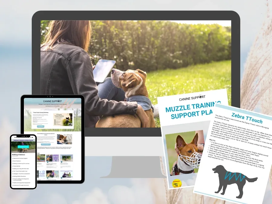 Online dog training courses displayed on a computer, tablet and phone alongside TTouch and muzzle-training guides