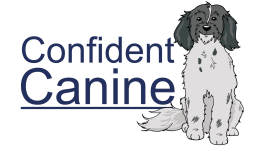 Confident Canine