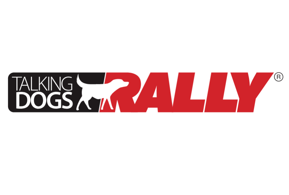 Talking Dogs Rally – a fun UK-based canine sport combining obedience with teamwork in Cottingley – Focus Dog Behaviour and Training