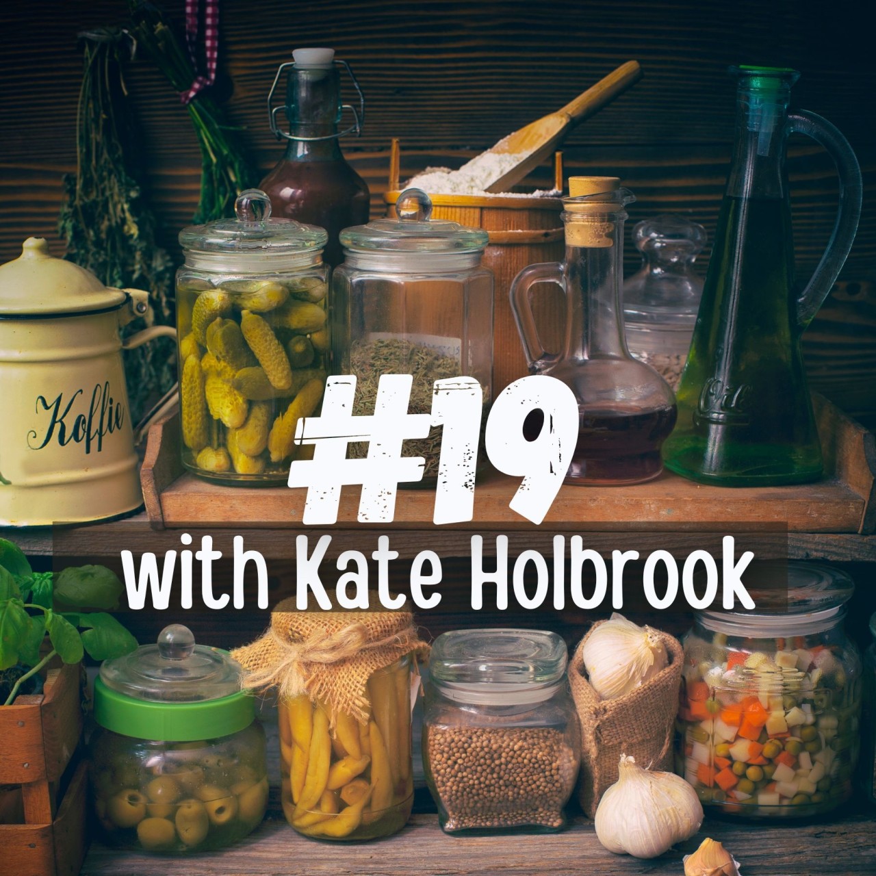 Podcast Episode 19 with Kate Holbrook