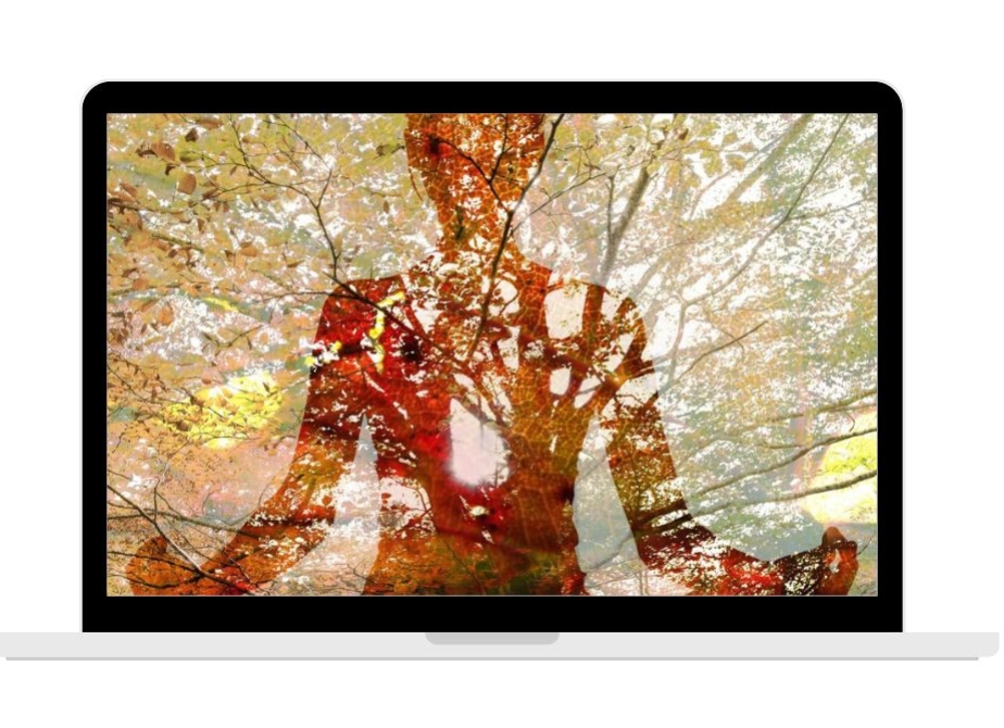 silhouette in sitting meditation with tree behind