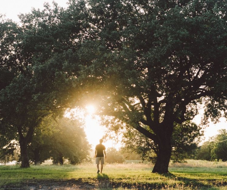 embodied life coaching, transformational coaching, man walking in woodland