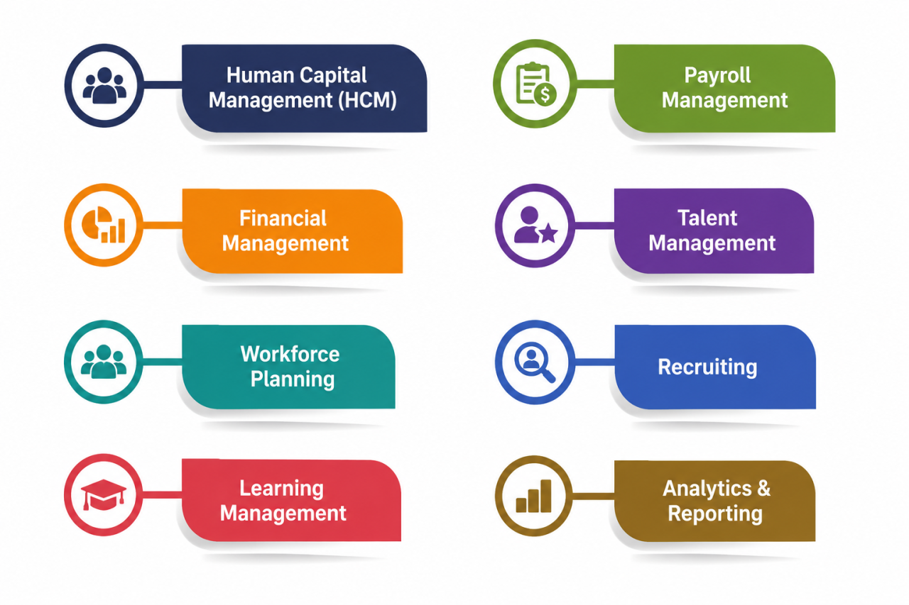
What is Workday Used For?