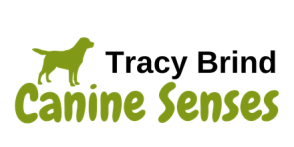 Canine Senses