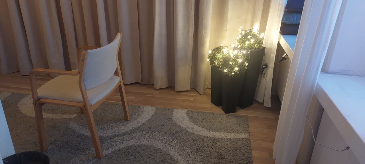 n lugn hörna i studion med en bekväm tygstol på en mjuk matta, flankerad av stämningsfullt belysta prydnadsväxter.