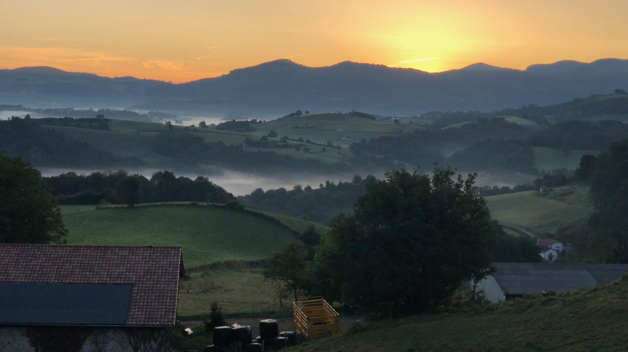 About Yellow Arrow Collective and Mary Beth Leisen, PhD Yellow Arrow Collective story and vision