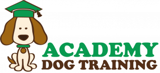 Academy Dog Training