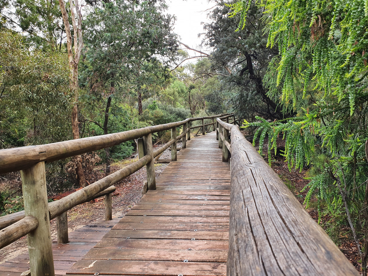 Bridge