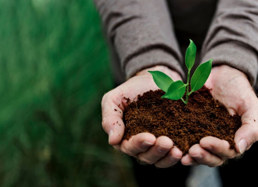 SUSTAINABILITY CONSULTING