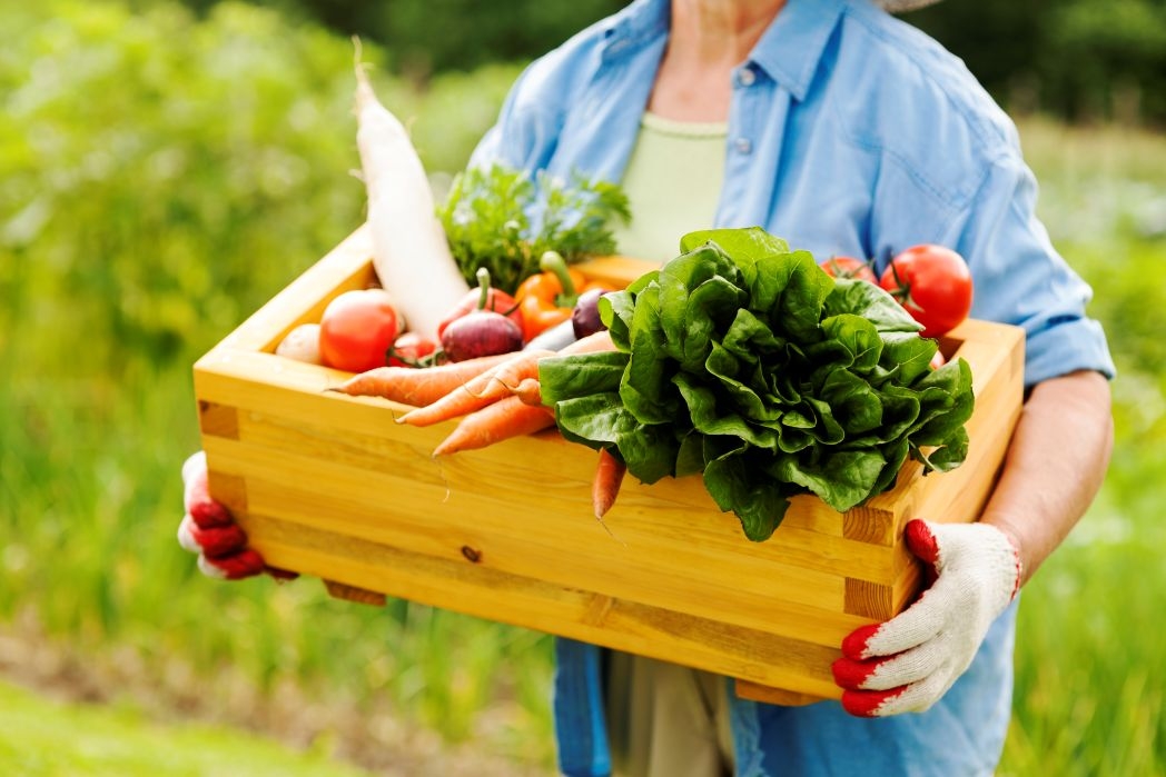 Food & Agriculture