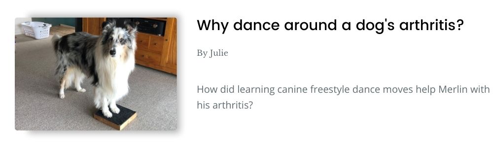 Link to blog - Why dance around a dog's arthritis?