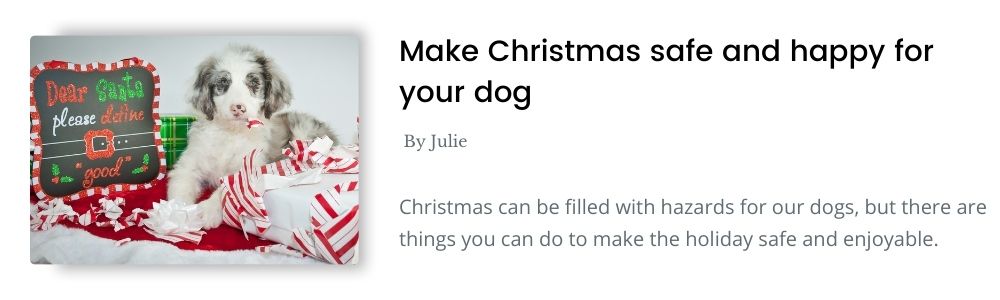Link to blog - make Christmas safe and happy for your dog