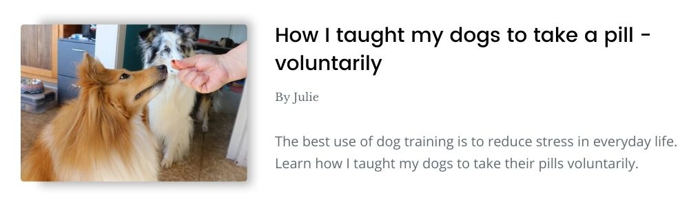 Link to blog - How I taught my dog to take a pill voluntarily