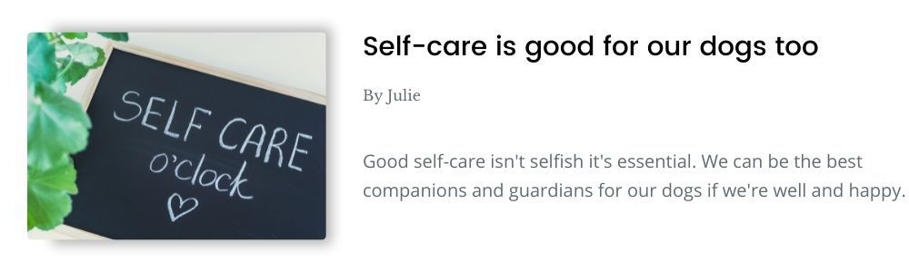 Link to blog - Self-care is good for our dogs too