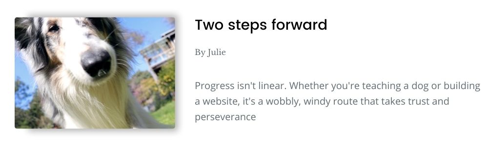 Link to blog - Two steps forward