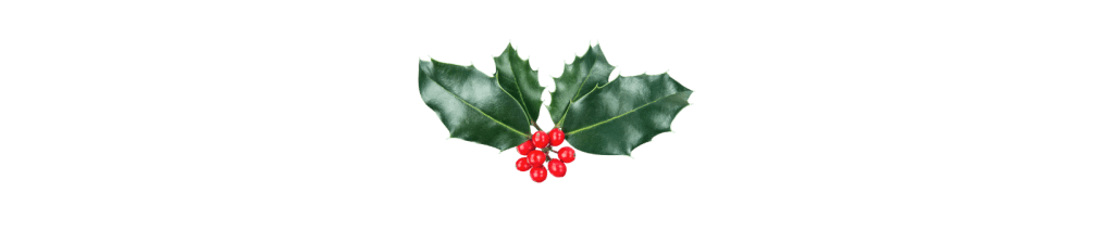 Christmas holly