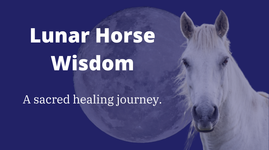 A mystical scene with a white horse and the full moon