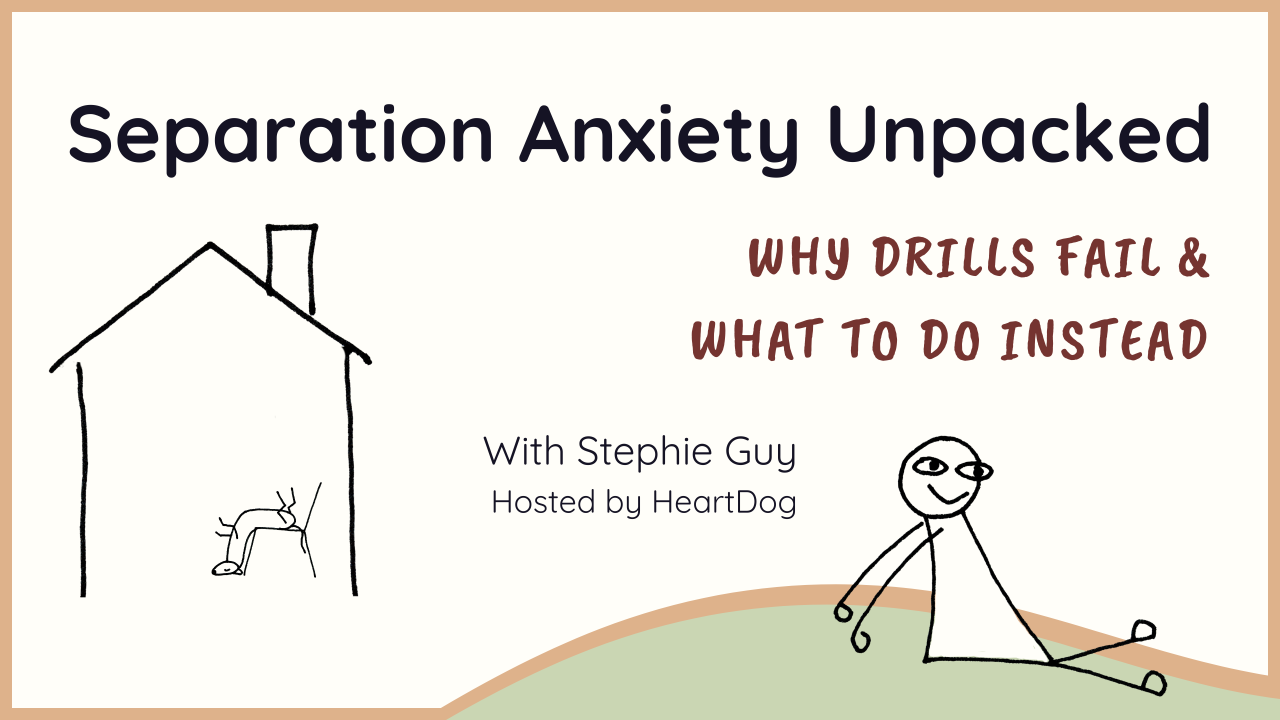 Separation Anxiety Unpacked, with Stephie Guy, hosted by HeartDog