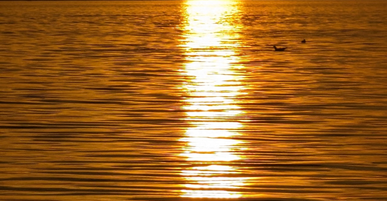 Innstrømingen av lys